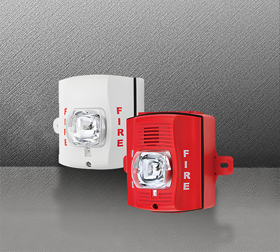 P2RK���ⱨ����